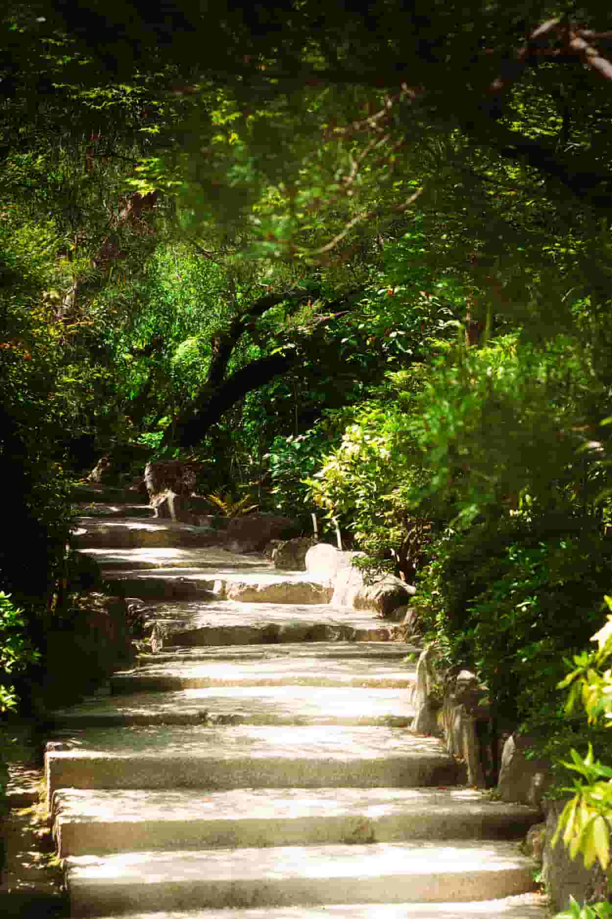 Stairs at Kyoto Temple